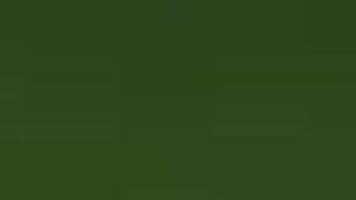 POV Oral Futanari Deepthroat GIF