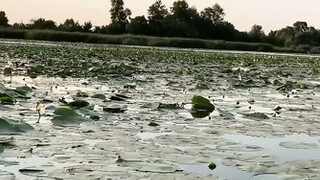 Отодрал в лодке знакомую матюрку с массивными дойками и жирной жопой