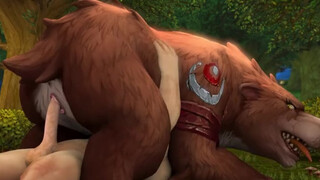 human sex bear world of warcraft female/male