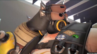 Офисные перерывы - Netfuta