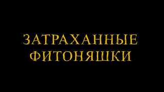 Подборка секса спортивных фитоняш с возбужденными тренерами