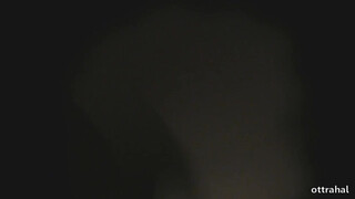 Как работают ночные бабочки индивидуалки