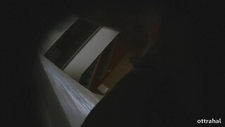 Как работают ночные бабочки индивидуалки